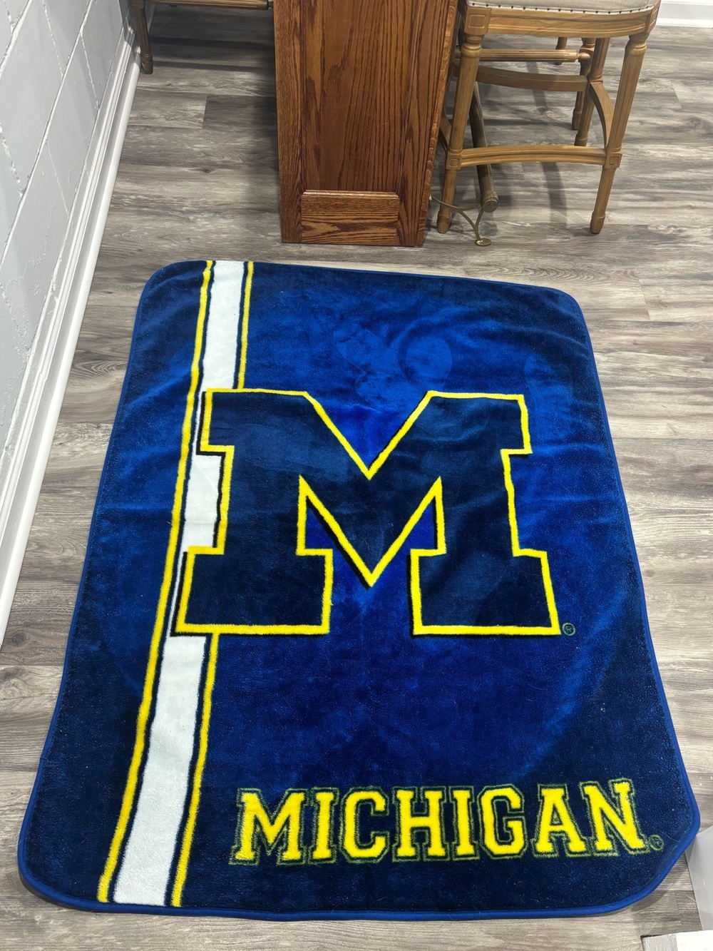 Michigan Collegiate Cozy Blanket